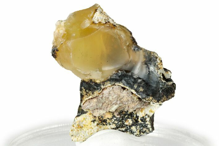 Rough Oregon Fire Opal #330526